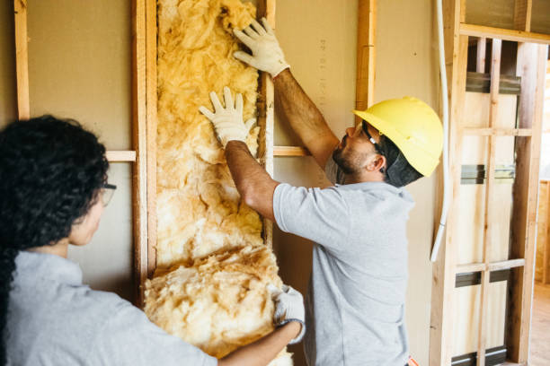 Professional Insulation in Union City, CA